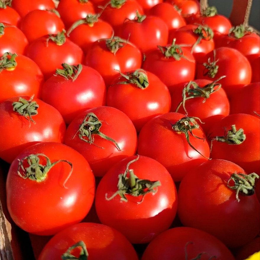 Томат Икрам