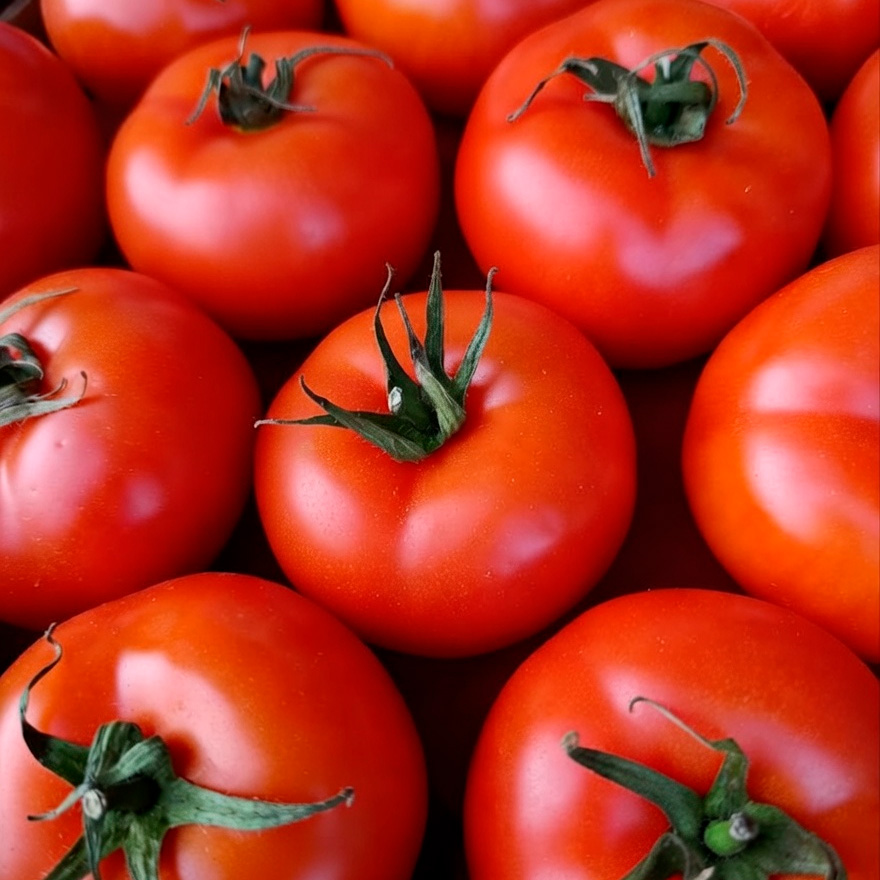 Томат круглый красный