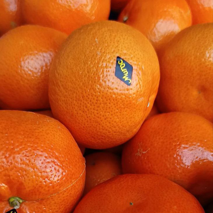 Мандарин Марокко