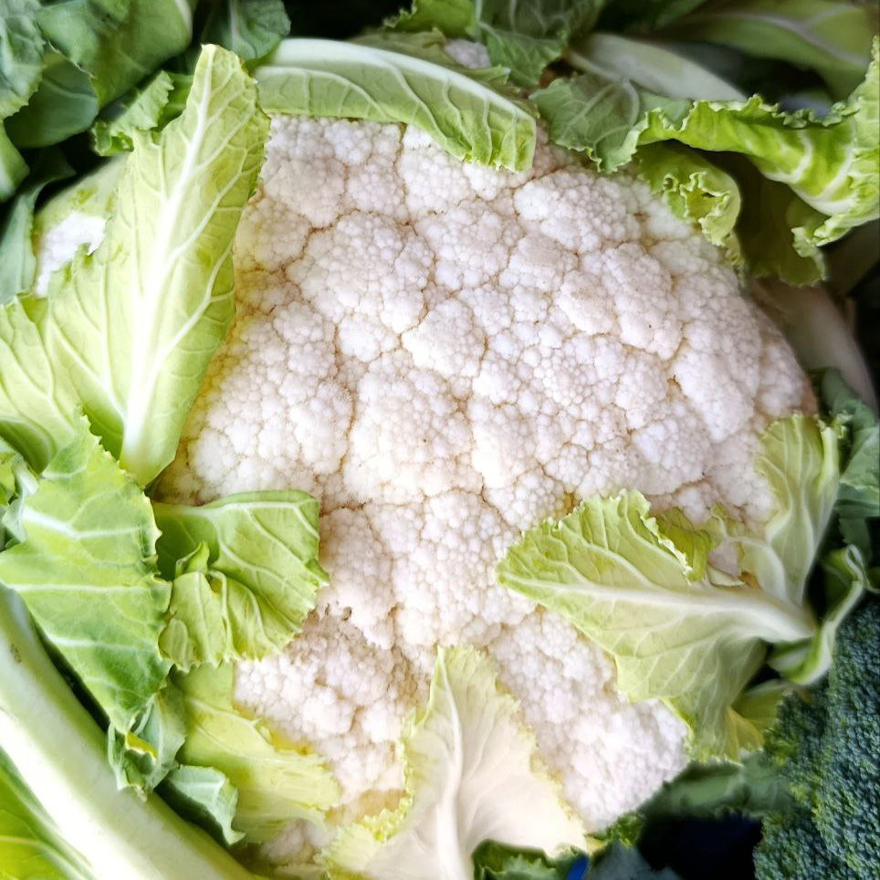 Цветная капуста